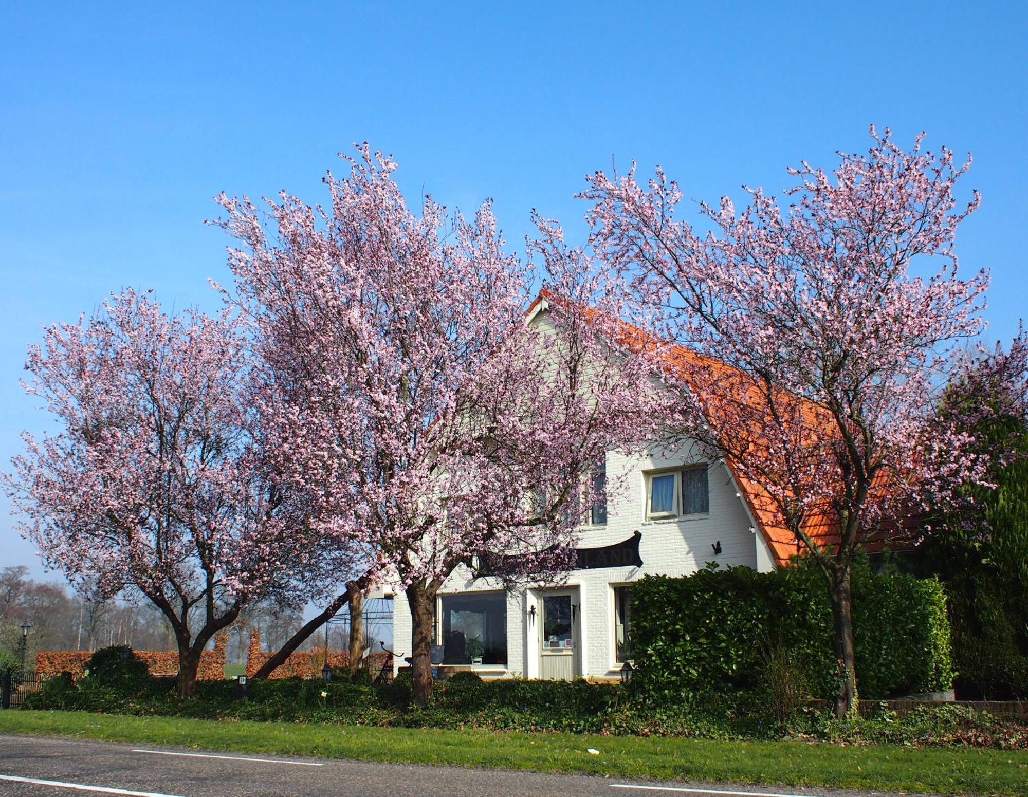 B&B Sagenland Harbrinkhoek Kültér fotó